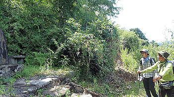 p7220077_thumb.jpg