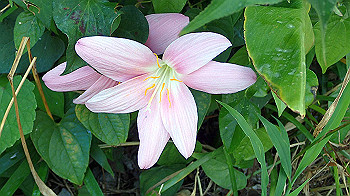 p7220095_thumb.jpg