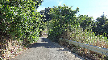 p7220098_thumb.jpg