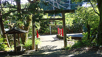 p7220109_thumb.jpg