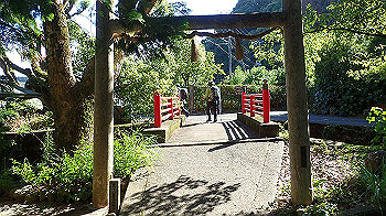 p7220110_thumb.jpg