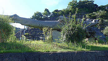 p7220114_thumb.jpg