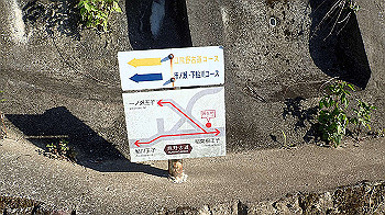 p7220130_thumb.jpg