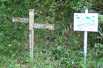 p7220520_thumb.jpg