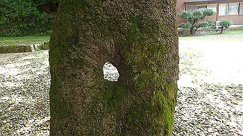 p7230173_thumb.jpg