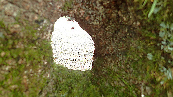 p7230174_thumb.jpg