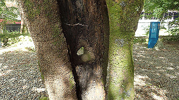 p7230175_thumb.jpg