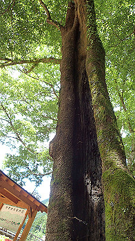 p7230176_thumb.jpg