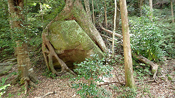 p7230183_thumb.jpg
