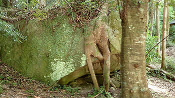 p7230184_thumb.jpg
