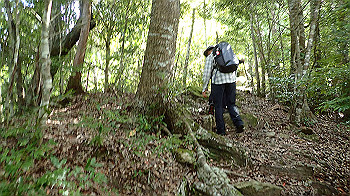 p7230191_thumb.jpg