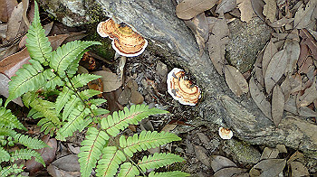 p7230194_thumb.jpg