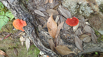 p7230195_thumb.jpg