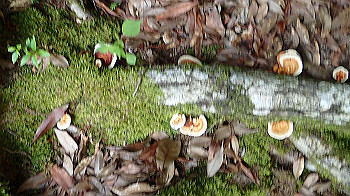p7230197_thumb.jpg