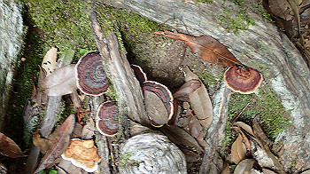 p7230198_thumb.jpg
