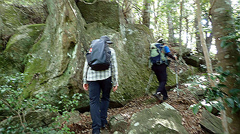p7230202_thumb.jpg