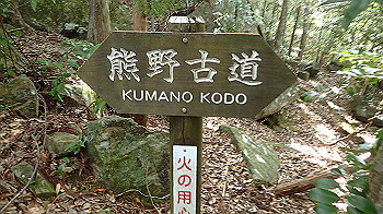 p7230203_thumb.jpg