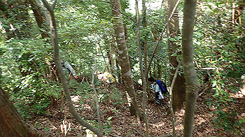 p7230205_thumb.jpg