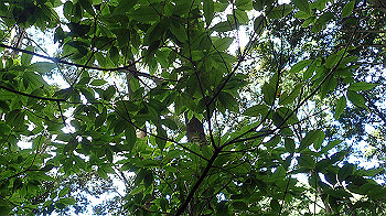 p7230206_thumb.jpg