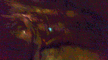p7230211_thumb.jpg