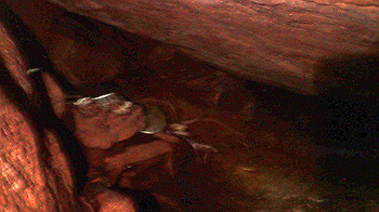 p7230213_thumb.jpg
