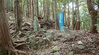 p7230214_thumb.jpg