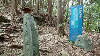 p7230215_thumb.jpg