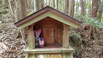 p7230218_thumb.jpg