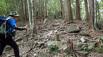p7230219_thumb.jpg