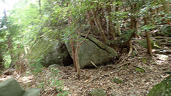 p7230220_thumb.jpg