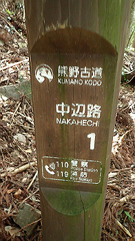 p7230221_thumb.jpg