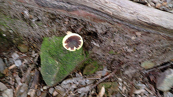 p7230222_thumb.jpg