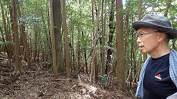 p7230225_thumb.jpg