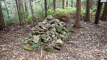 p7230226_thumb.jpg