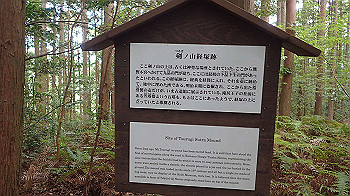 p7230227_thumb.jpg