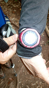 p7230230_thumb.jpg