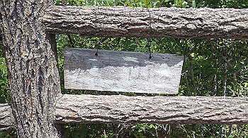 p7230233_thumb.jpg
