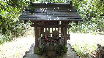 p7230239_thumb.jpg