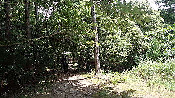 p7230242_thumb.jpg