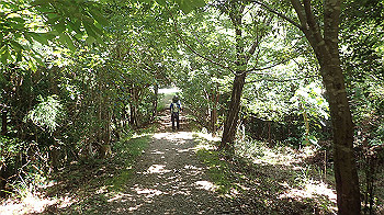 p7230244_thumb.jpg