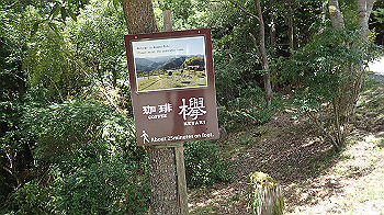 p7230247_thumb.jpg