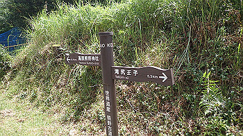 p7230253_thumb.jpg