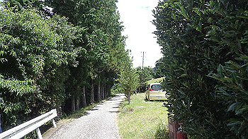 p7230255_thumb.jpg