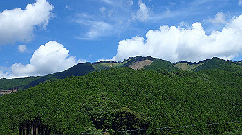p7230279_thumb.jpg