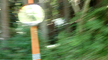 p7230280_thumb.jpg