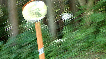 p7230281_thumb.jpg