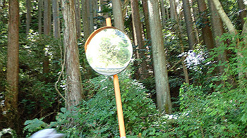 p7230282_thumb.jpg