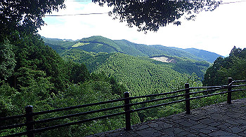 p7230286_thumb.jpg
