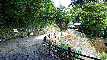 p7230287_thumb.jpg
