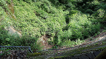 p7230288_thumb.jpg